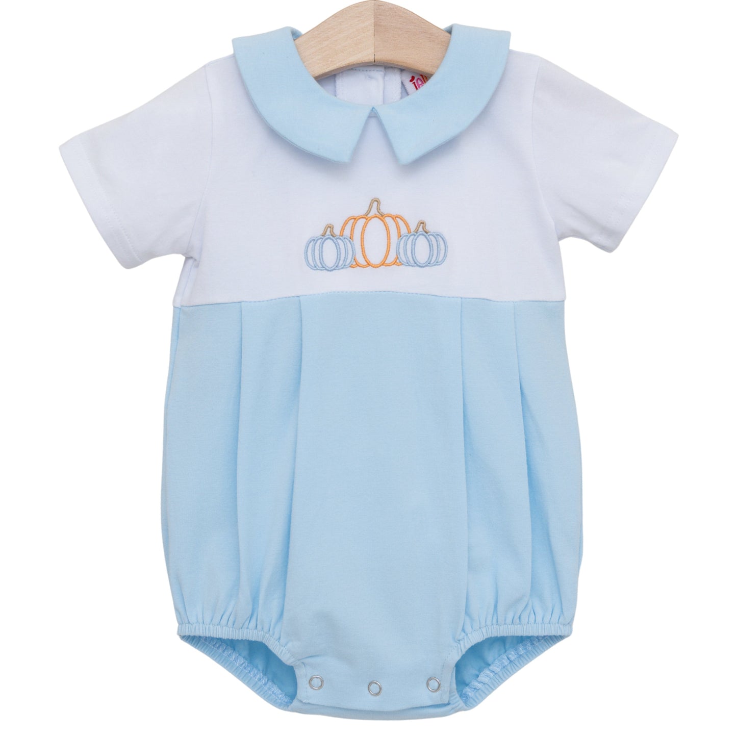 Proper Pumpkins Collar Bubble *JELLYBEAN PUMPKIN PREORDER*