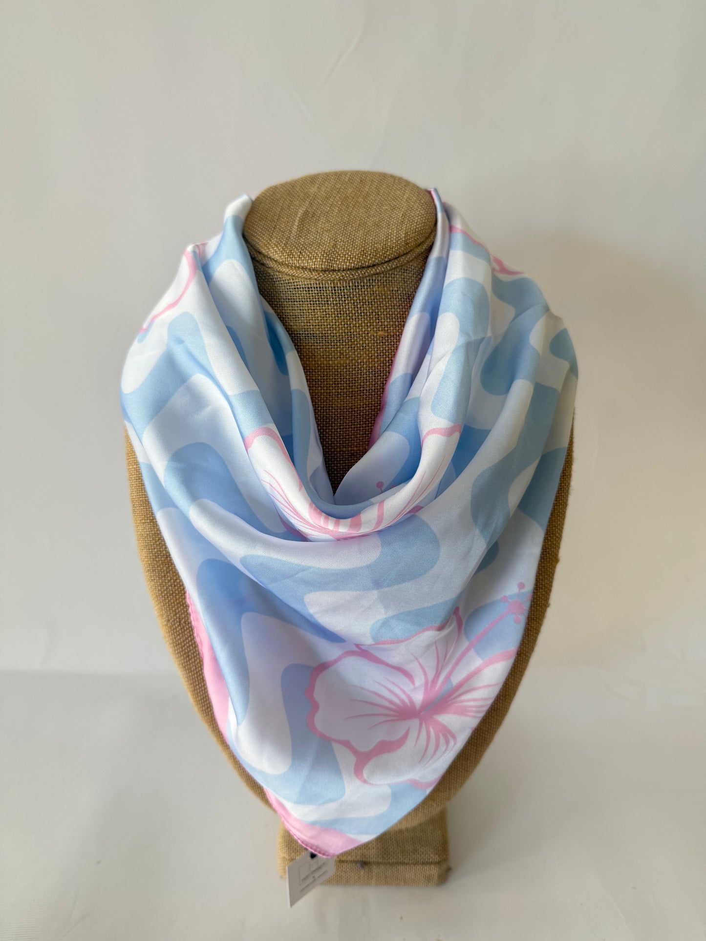 Hart Designs Blue and Pink Scarf