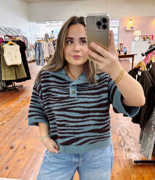 Blue Zebra Shortsleeved Sweater