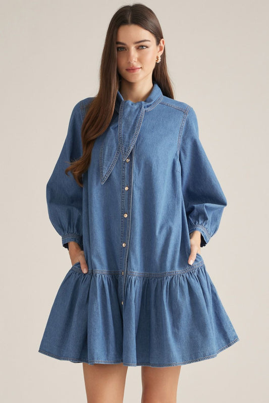 Denim Buttoned Mini Dress