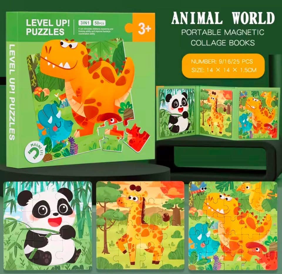 Magnetic Puzzle Books